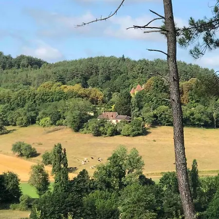 بيت للعطل Maison Avec Piscine Privee - 2 Pers. - Fr-1-616-558 Auriac-du-Périgord