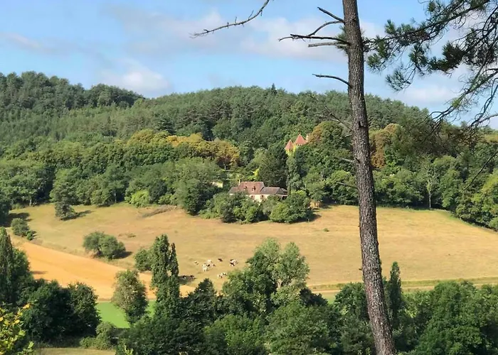 بيت للعطل Maison Avec Piscine Privee - 2 Pers. - Fr-1-616-558 Auriac-du-Périgord